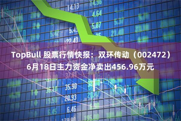 TopBull 股票行情快报：双环传动（002472）6月18日主力资金净卖出456.96万元